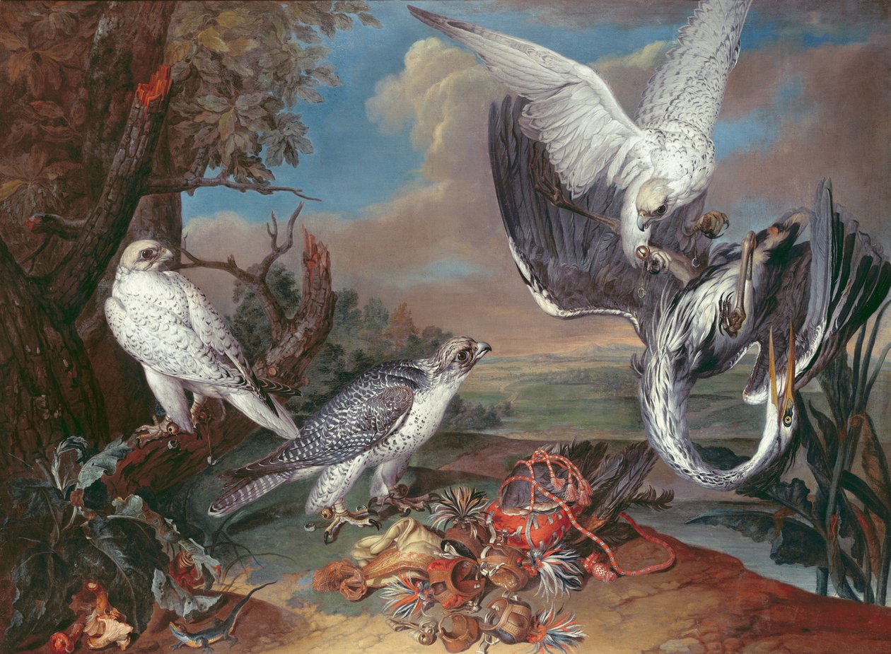 Gronelândia Cyr Falcons de Ferdinand Phillip de Hamilton