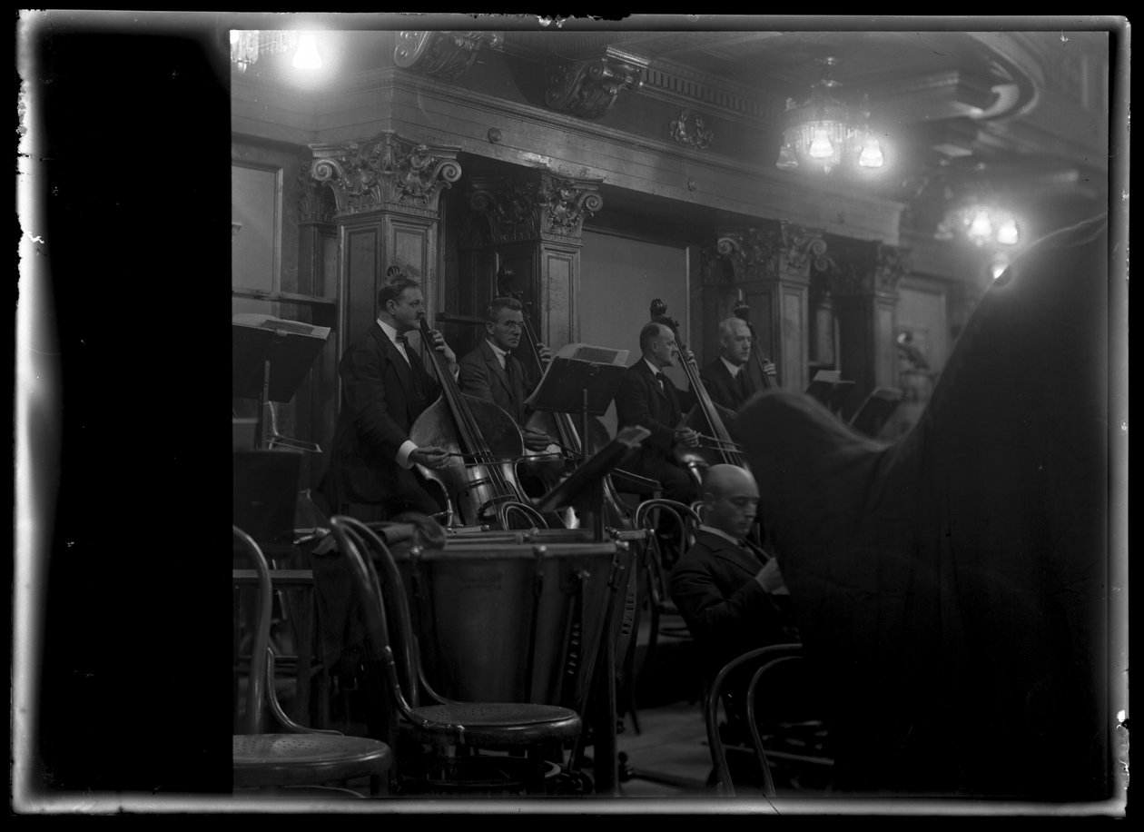 Baixista do membro vienense de uma orquestra filarmónica de Ferdinand Schmutzer