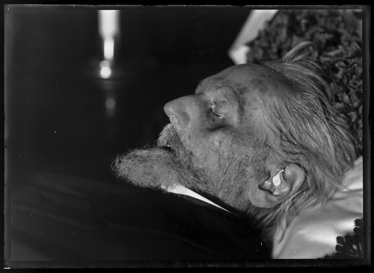 Rudolf de antiquário (1812-1905) no leito de morte de Ferdinand Schmutzer