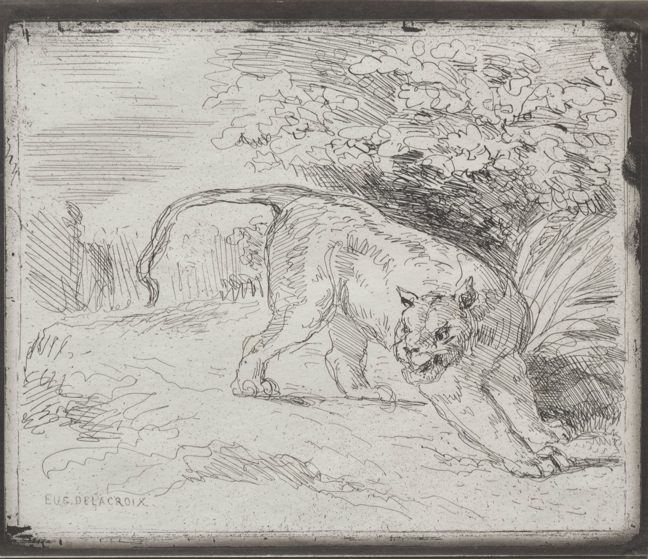 Um tigre preso, 1854. de Ferdinand Victor Eugene Delacroix