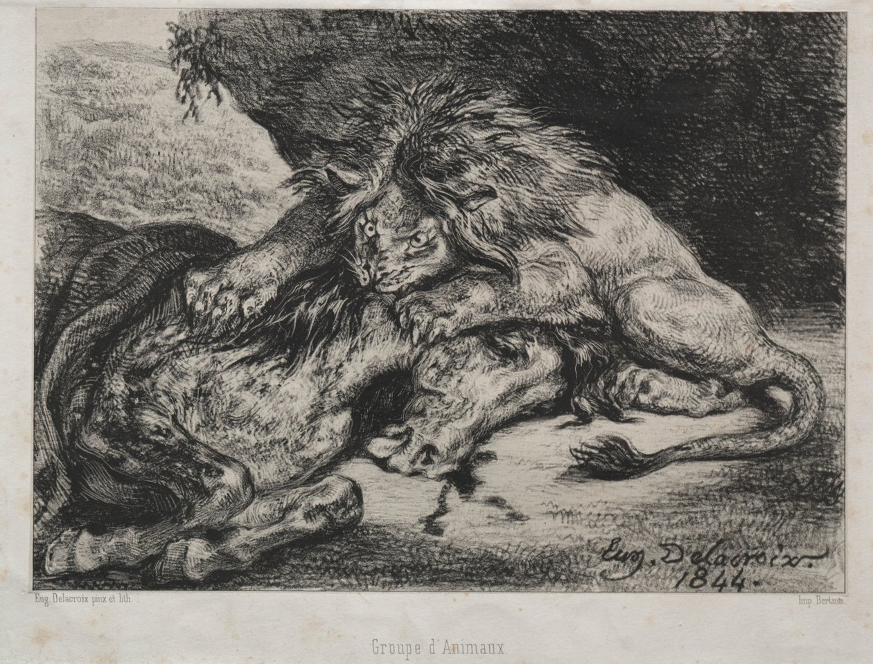 Leão devorando um cavalo, 1844. de Ferdinand Victor Eugene Delacroix