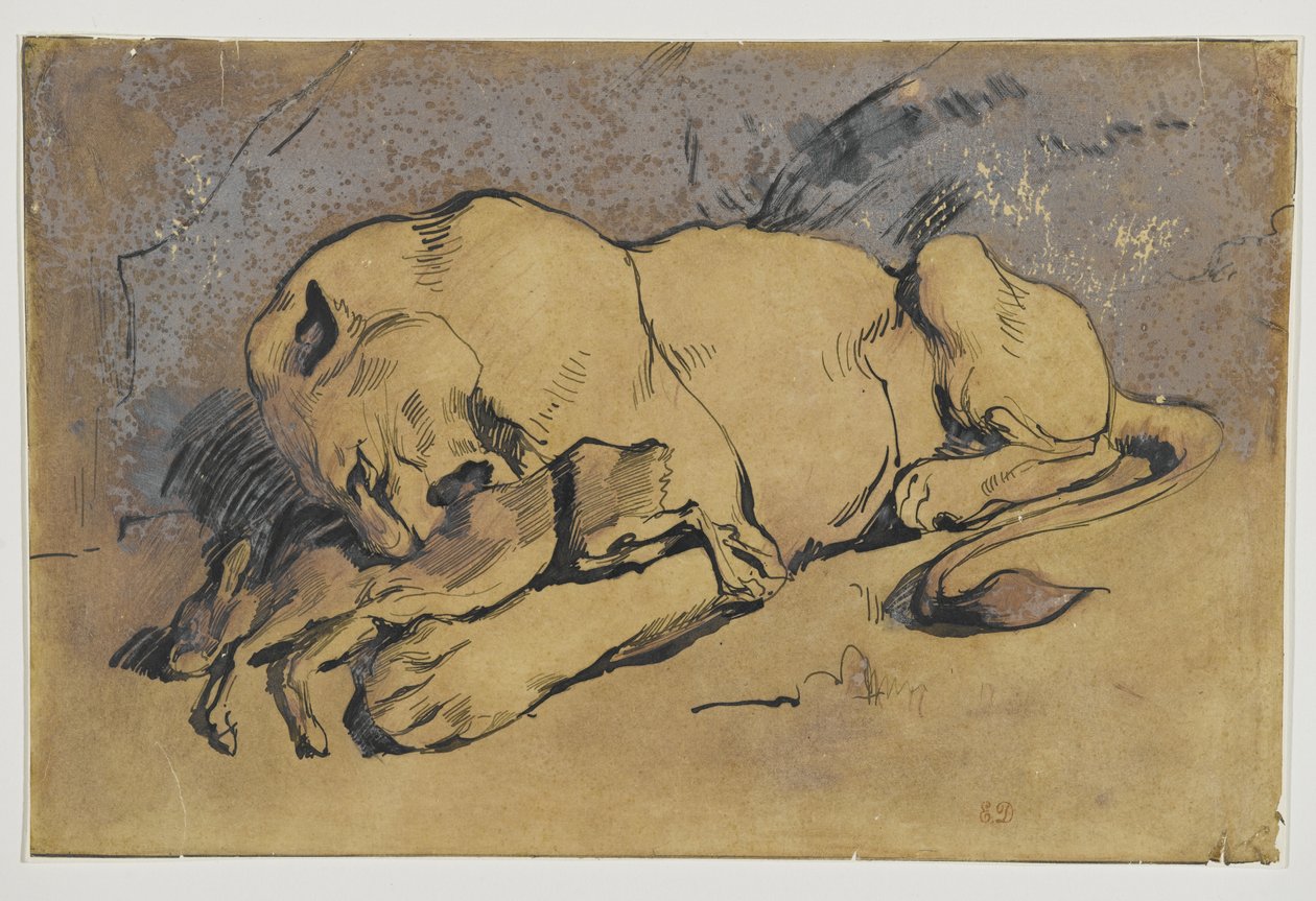 Leoa devorando um coelho (caneta e tinta com lavagem avermelhada em papel pardo) de Ferdinand Victor Eugene Delacroix