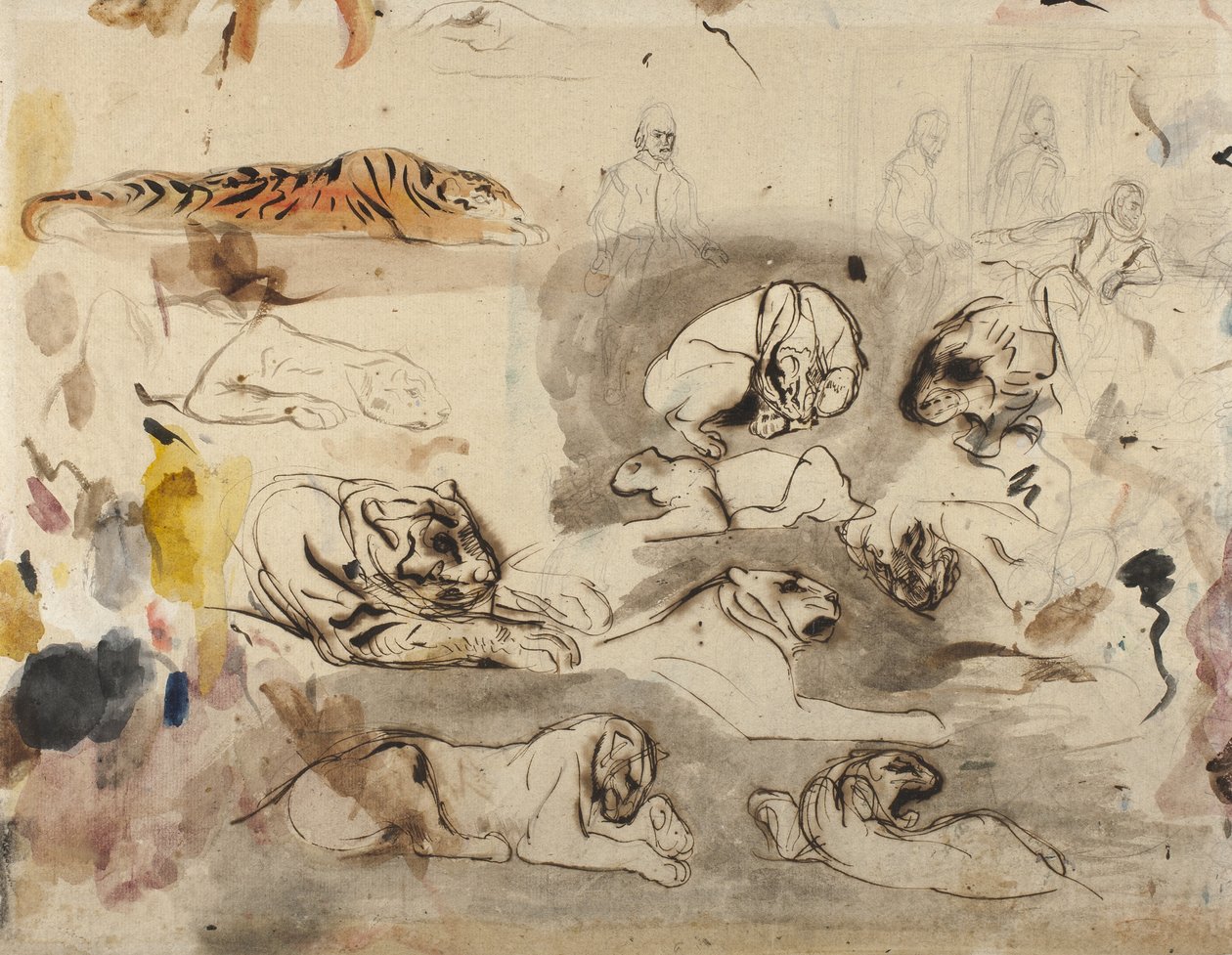 Esboços de tigres e homens em traje do século XVI, 1828-29 de Ferdinand Victor Eugene Delacroix