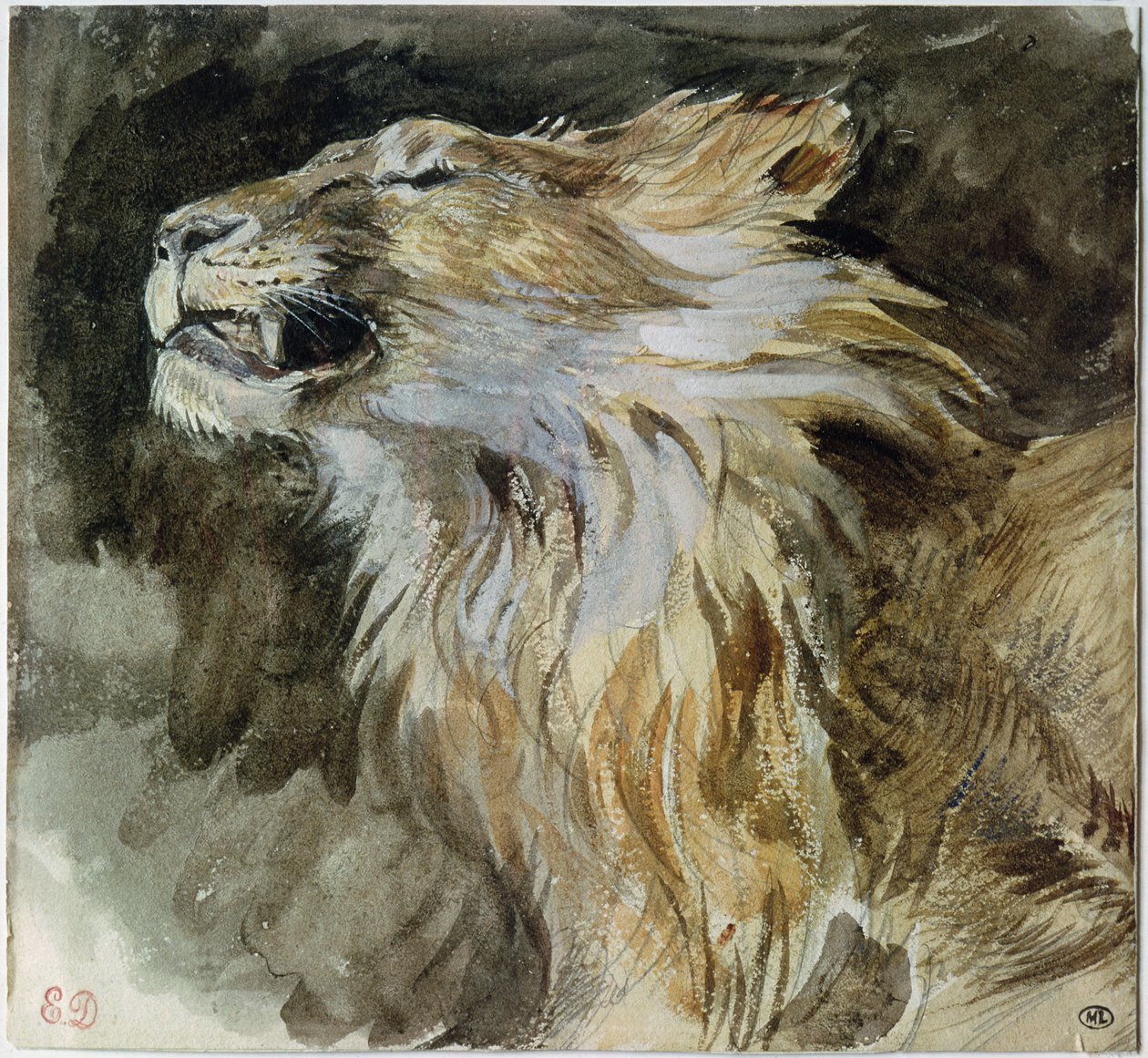 A cabeça de um leão (aguarela sobre papel) de Ferdinand Victor Eugene Delacroix