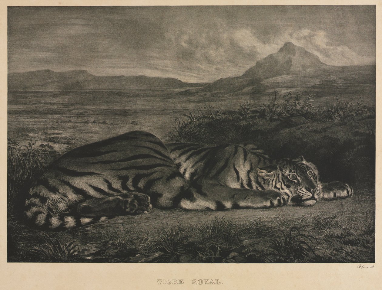 Royal Tiger, 1829. de Ferdinand Victor Eugene Delacroix