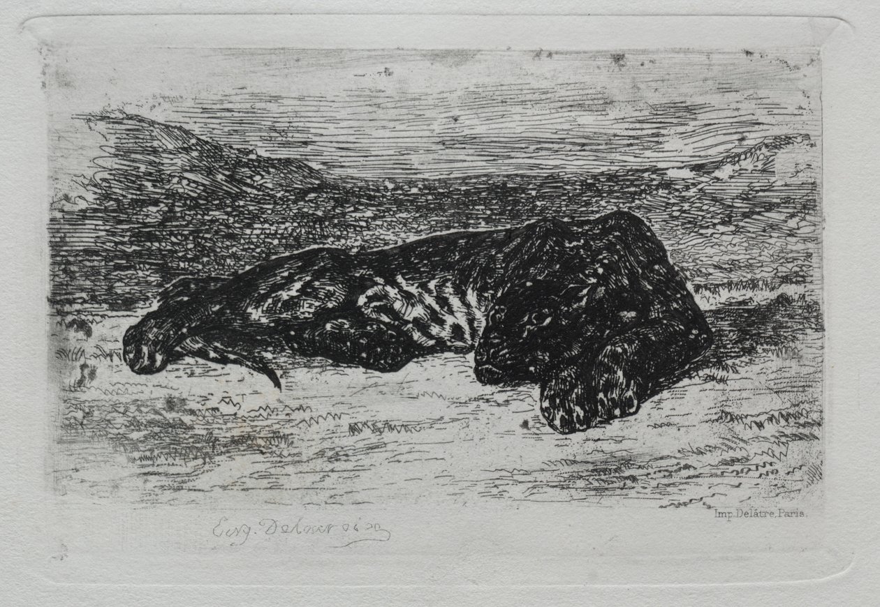 Tigre deitado no deserto. de Ferdinand Victor Eugene Delacroix