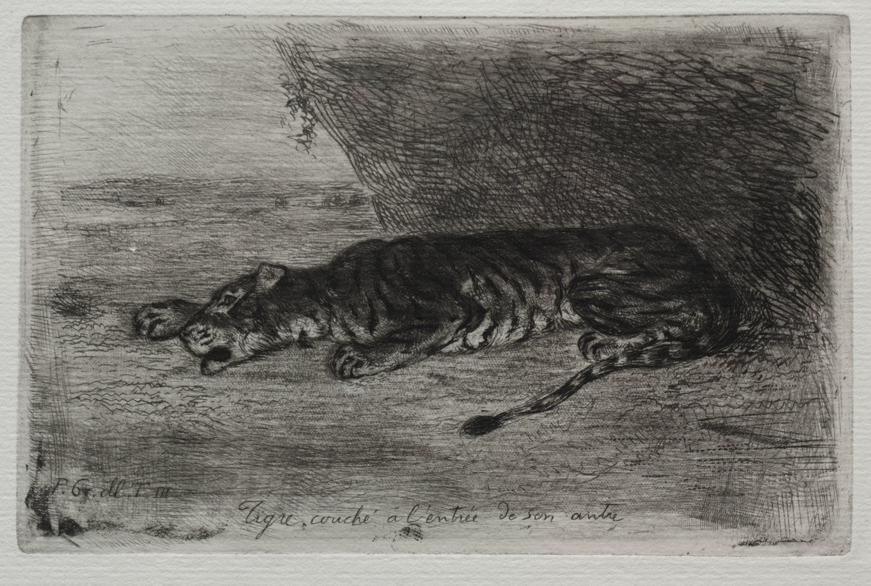 Tigre deitado na entrada do seu covil. de Ferdinand Victor Eugene Delacroix