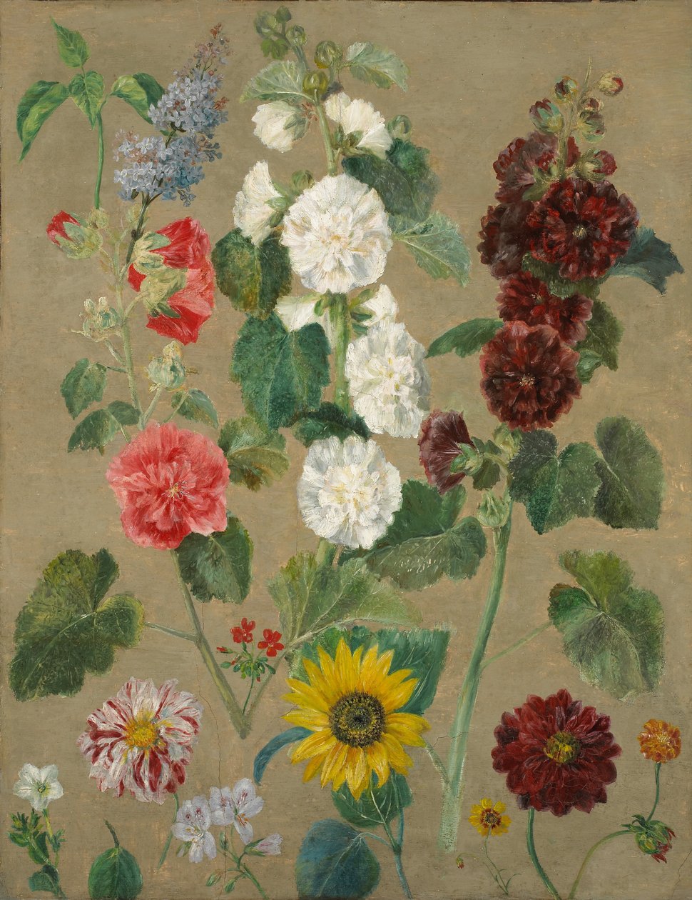 Sem título (Flores) (óleo a bordo) de Ferdinand Victor Eugene Delacroix