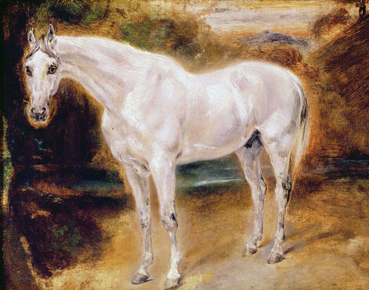 Cavalo branco de Ferdinand Victor Eugene Delacroix