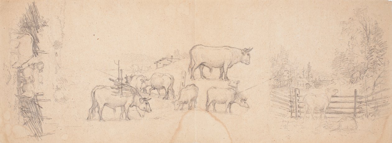 Vários esboços de vacas e touros de Ferdinand von Wright