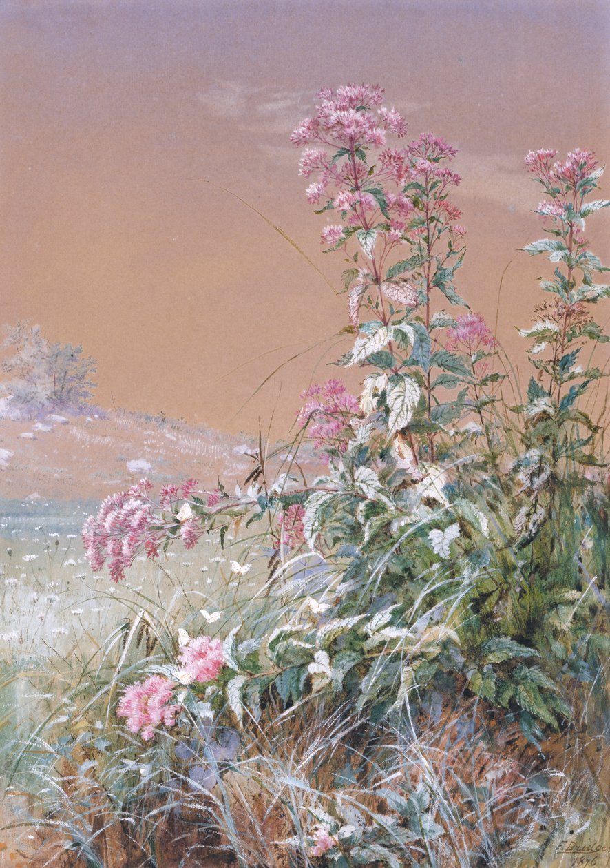 Sem título, 1876. de Fidelia Bridges
