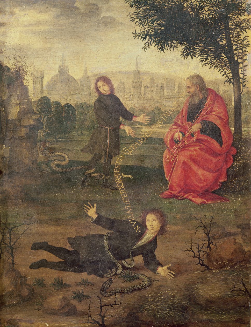 Alegoria, c.1485-90 de Filippino Lippi
