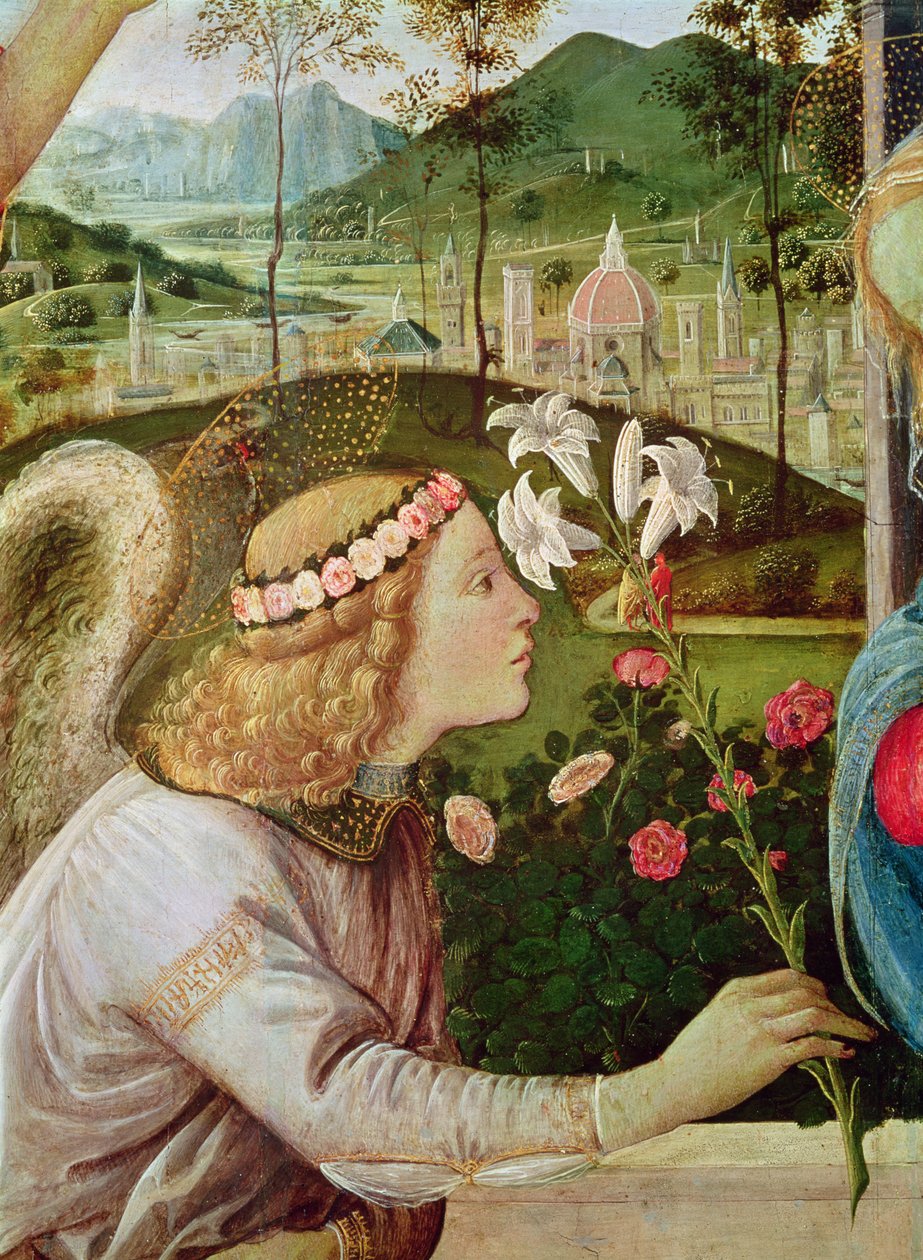 A Anunciação entre São João Batista e Santo André carregando sua cruz Detalhe da cabeça de um anjo, 1483-5 óleo sobre tela de Filippino Lippi