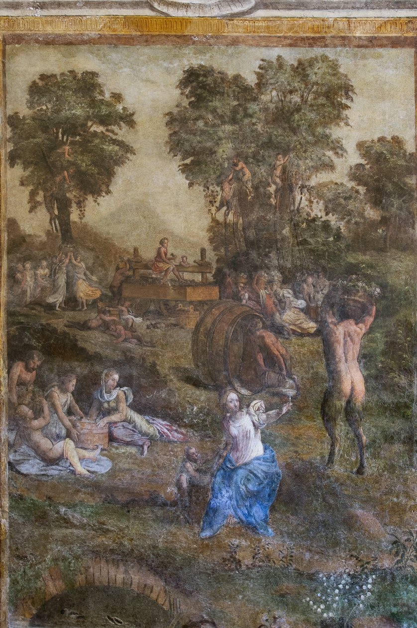 "Colheita", detalhe do Camerino dei Baccanali (fresco) de Filippino (and workshop) Lippi