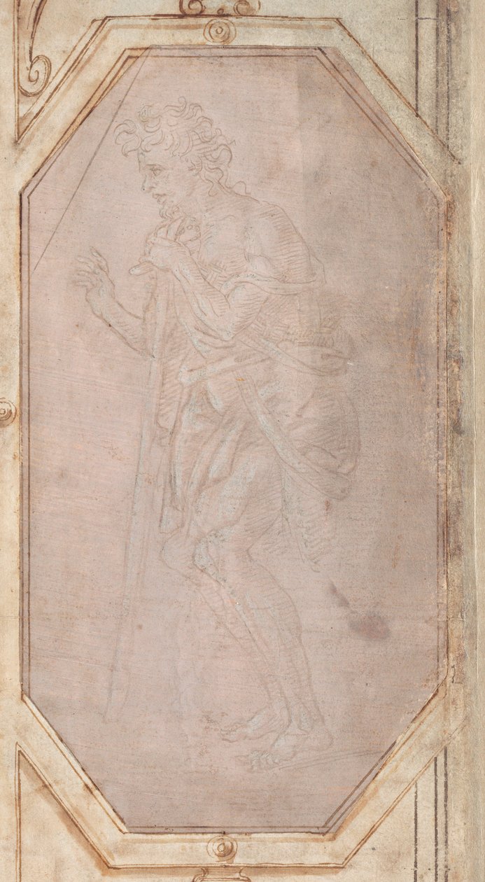 Homem com uma vara de Filippino Lippi