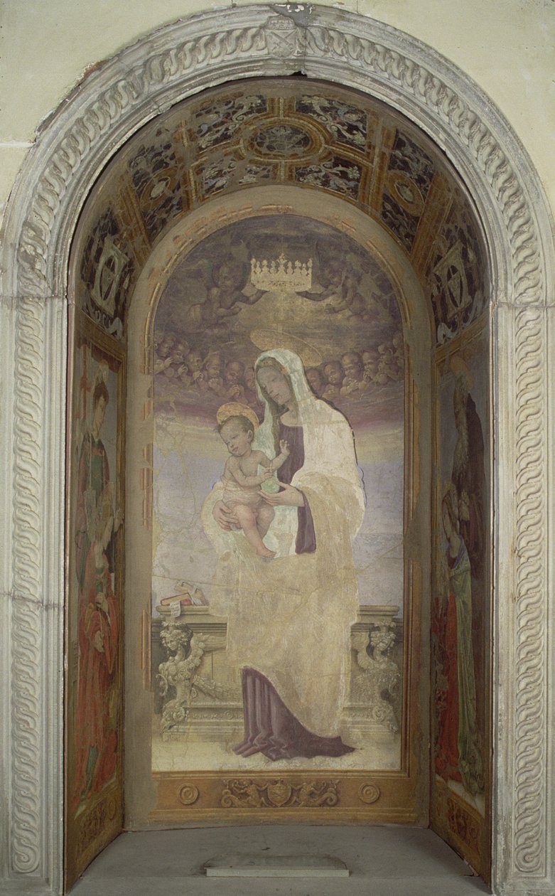 Imagem desconhecida de Filippino Lippi