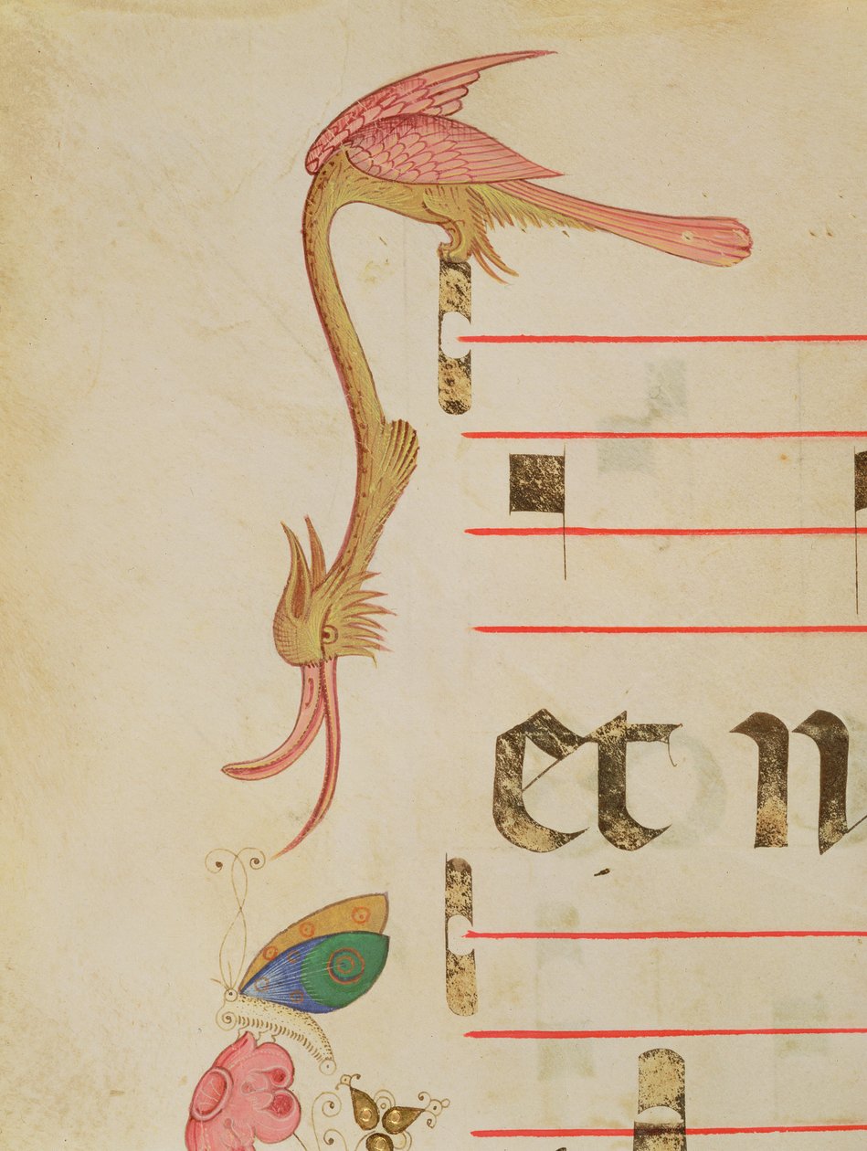 Missal 515 f.9r Fantástico pássaro caçando uma borboleta, detalhe da borda decorativa de um Coro Livro executado antes de 1449 de Filippo di Matteo Torelli