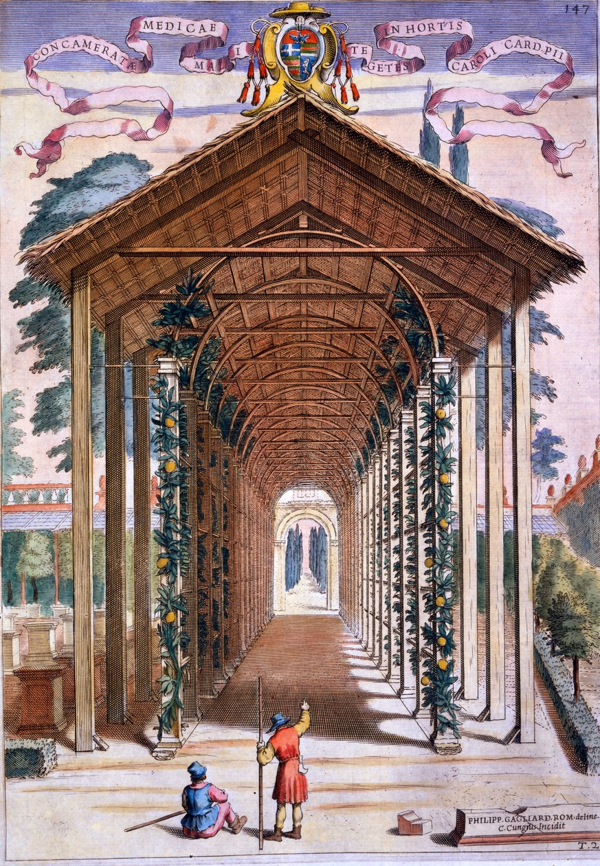 Uma Passarela Coberta com Treliça, de &39;Hespérides&39;, de Giovanni Battista Ferrari, gravada por Camillo Congio (fl.1630), publicada em 1646 de Filippo Gagliardi