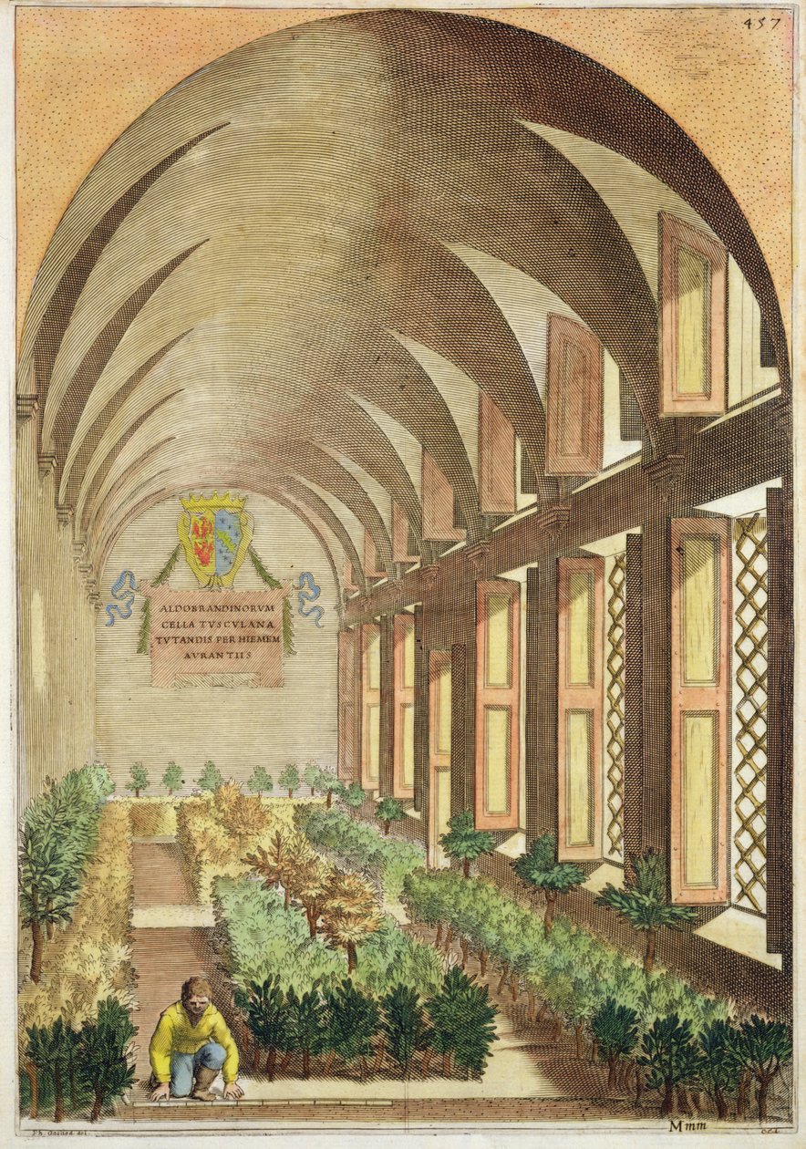 Árvores cítricas em uma estufa, de "Hespérides", de Giovanni Battista Ferrari, gravadas por Cammillo Congio (fl.1630), publicado em 1646 de Filippo Gagliardi