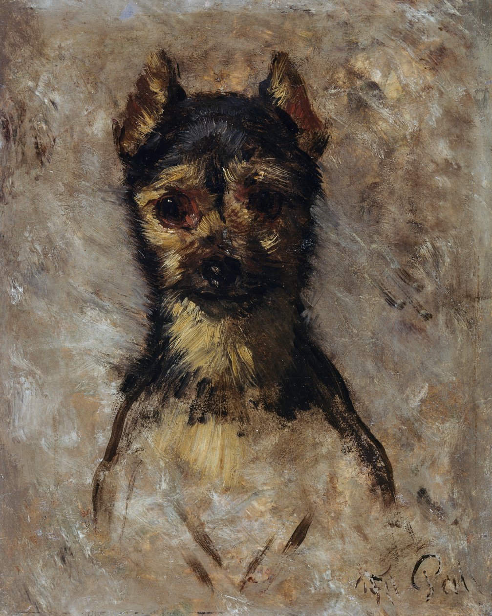 Cabeça de cão de Filippo Palizzi