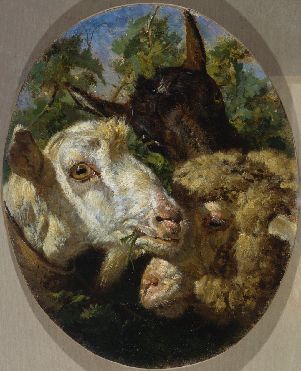Cabeças de animais de Filippo Palizzi