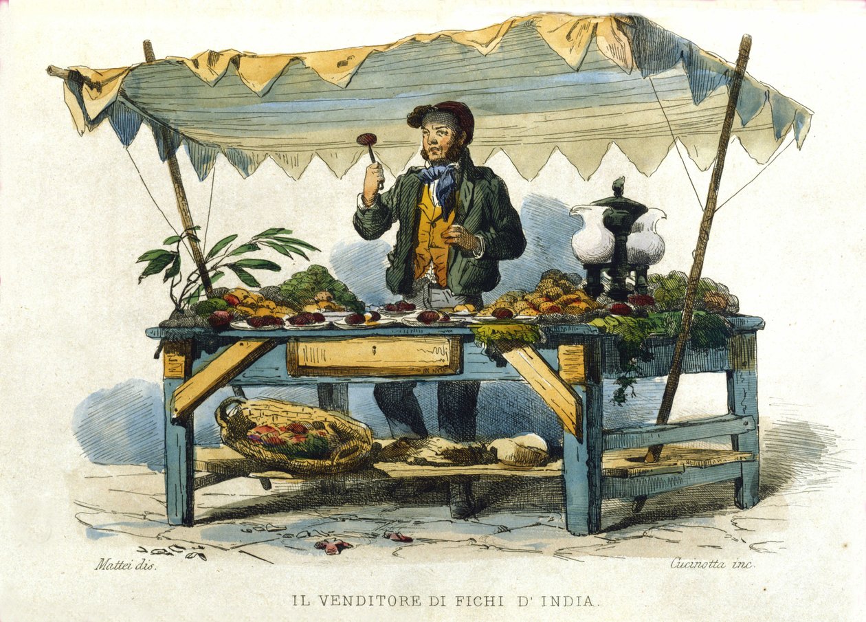 O pequeno métier da cidade de Nápoles: o vendedor de cavilhas de pauzinhos. Gravura depois de uma pintura de F. Palizza. De uma obra de Francesco de Bourcard "Costumi del regno di Napoli". de Filippo Palizzi