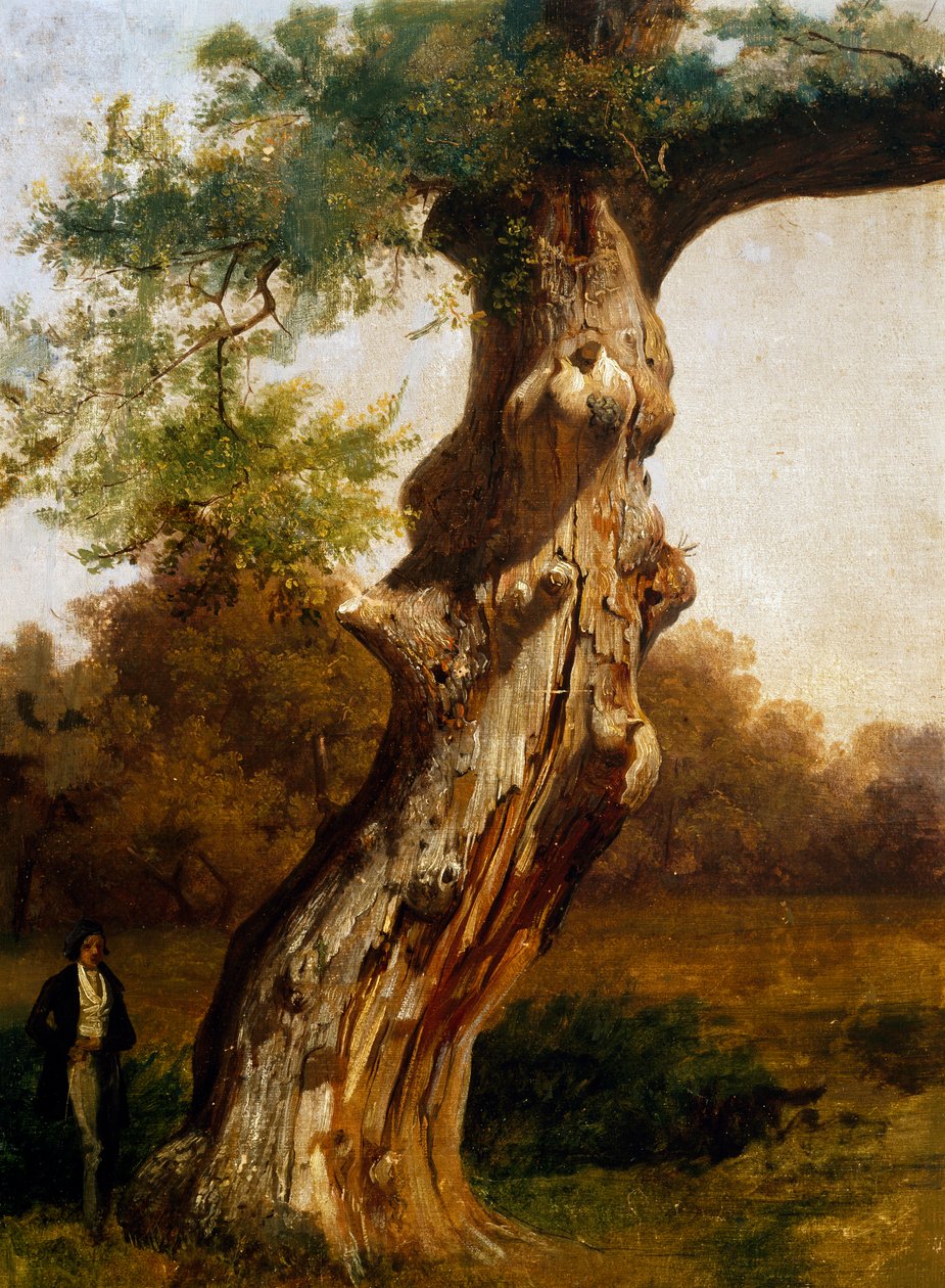A árvore (óleo sobre tela) de Filippo Palizzi