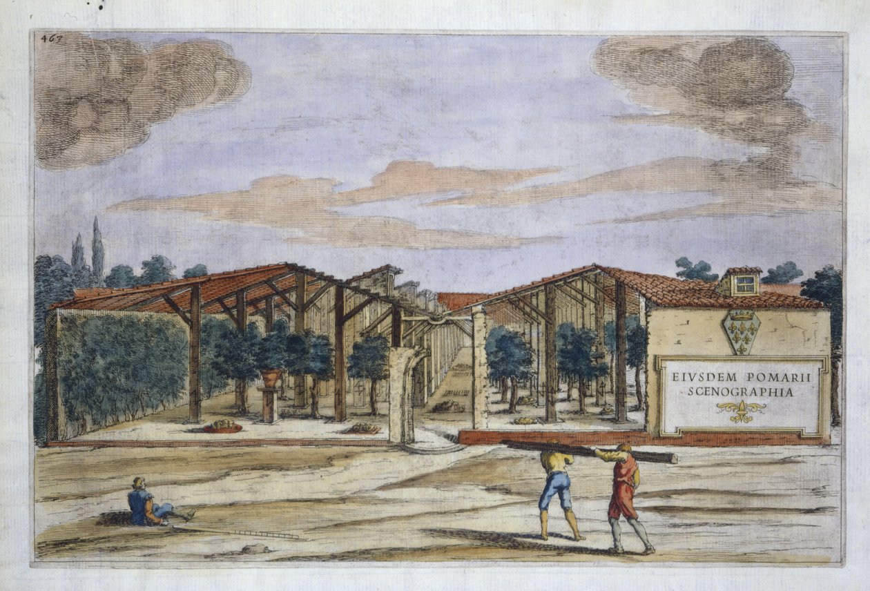 Um pomar coberto, de Hespérides por Giovanni Battista Ferrari, gravado por Camillo Congio (fl.1630), publicado em 1646 (gravura colorida à mão) de Filippo after Gagliardi