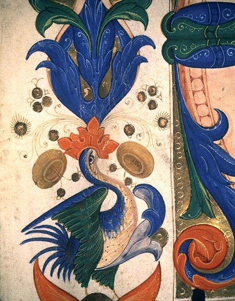 Missal 515 1r Borda foliáceo zoomórfica, detalhe de um livro de coral executado antes de 1449 (detalhe de 88903) de Filippo di Matteo Torelli