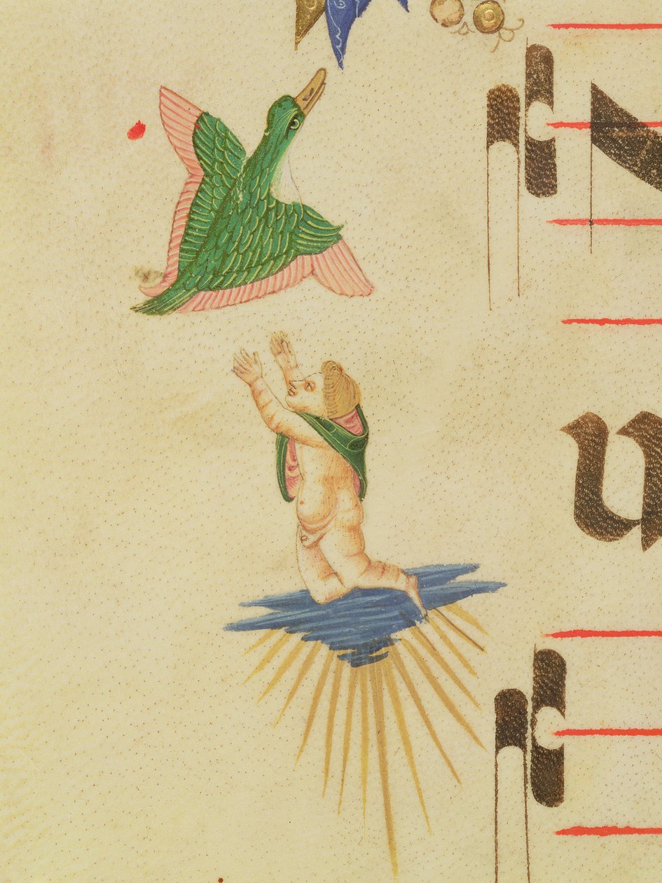 Missal 515 f.13v Um querubim encapotado tentando pegar um pássaro voador, de uma borda decorativa, detalhe de um livro de coro executado antes de 1449 detalhe de pergaminho de 56721 de Filippo di Matteo Torelli