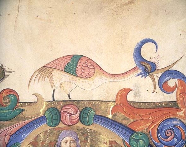 Missal 515 f.169r Pássaro fantástico, detalhe da decoração que envolve uma inicial historiada de um Livro Coral executado antes de 1449 (velino) (detalhe de 56720) de Filippo di Matteo Torelli