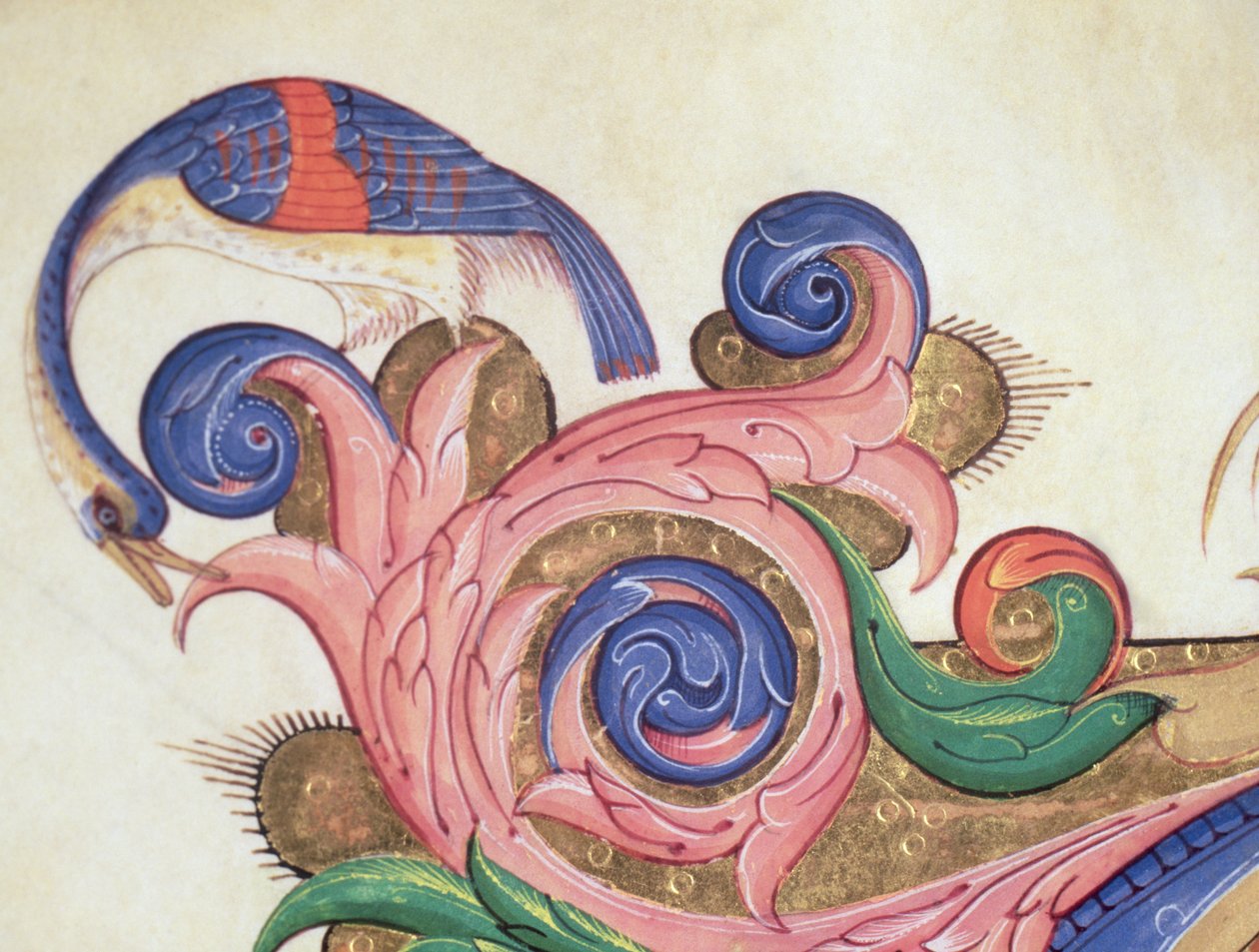 Missal 515 f.169r Fantástico pássaro olhando ao redor da folhagem, detalhe de decoração em volta de uma inicial historiada de um livro de coro executado antes de 1449 detalhe de pergaminho de 56720 de Filippo di Matteo Torelli