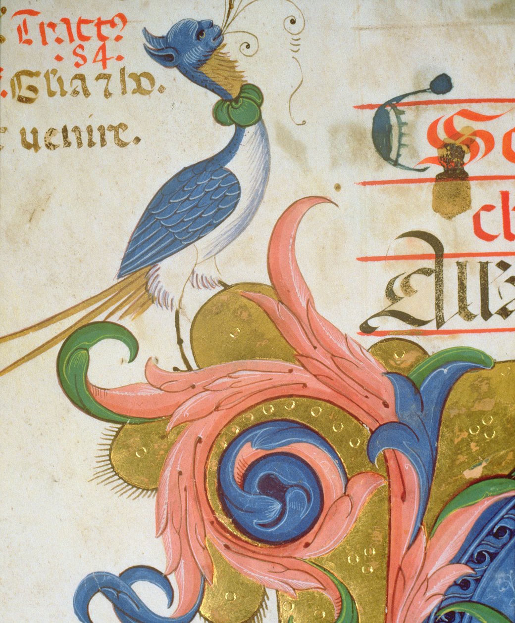 Missal 515 f.28v Pássaro fantástico com cabeça humana em pé na esquina de um detalhe inicial historiated de um livro de coro executado antes de 1449 detalhe de pergaminho de 56724 de Filippo di Matteo Torelli