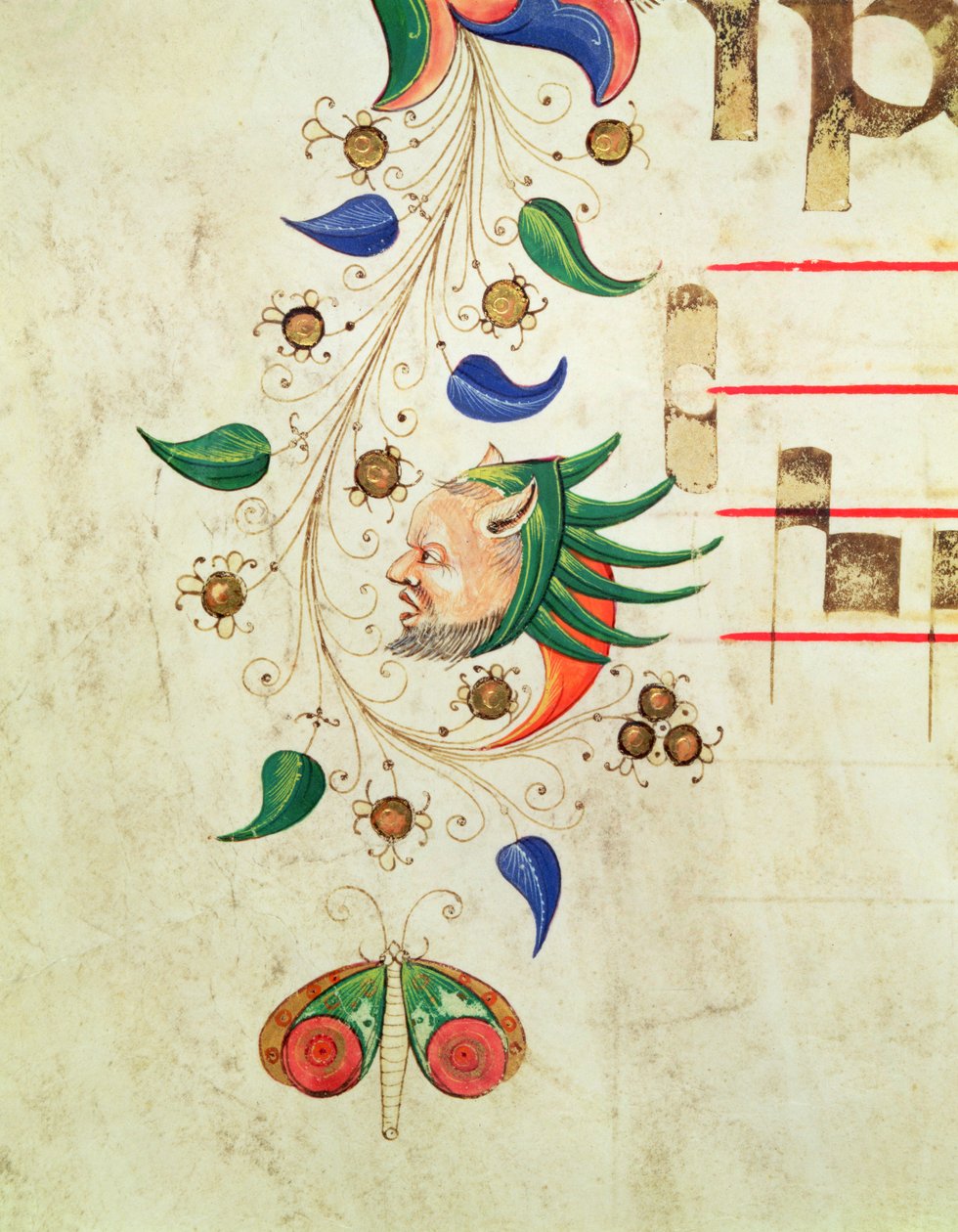 Missal 515 f.72v Borda foliáceo zoomórfica, detalhe de um livro de coro executado antes de 1449 velino de Filippo di Matteo Torelli