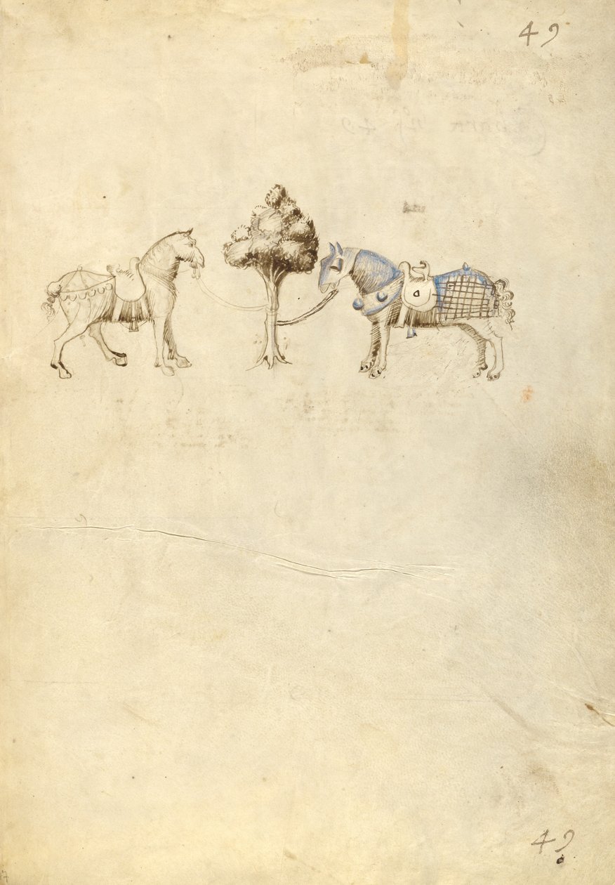 Dois cavalos de Fiore Furlan dei Liberi da Premariacco