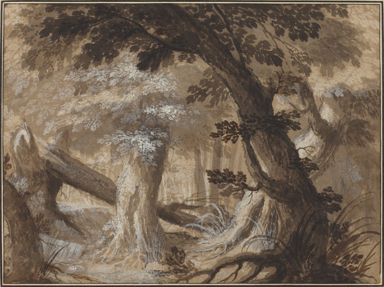 Interior da Floresta de Flemish 17th Century