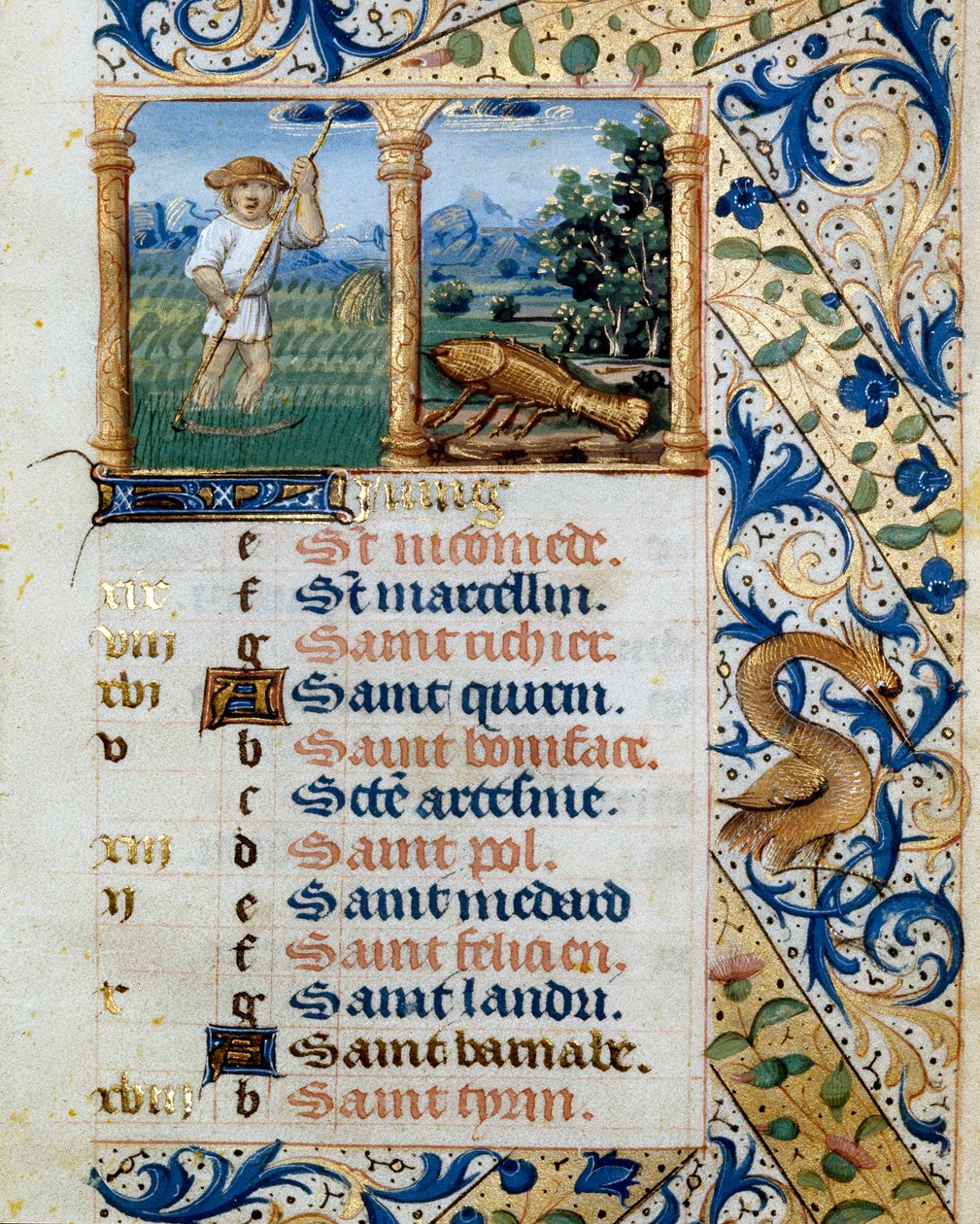 Calendário, Junho, um corte de relva camponesa e o sinal de cancro. Página tirada de um livro de horas ms. 47, iluminado pela escola flamenga. Século XVI Badia de 