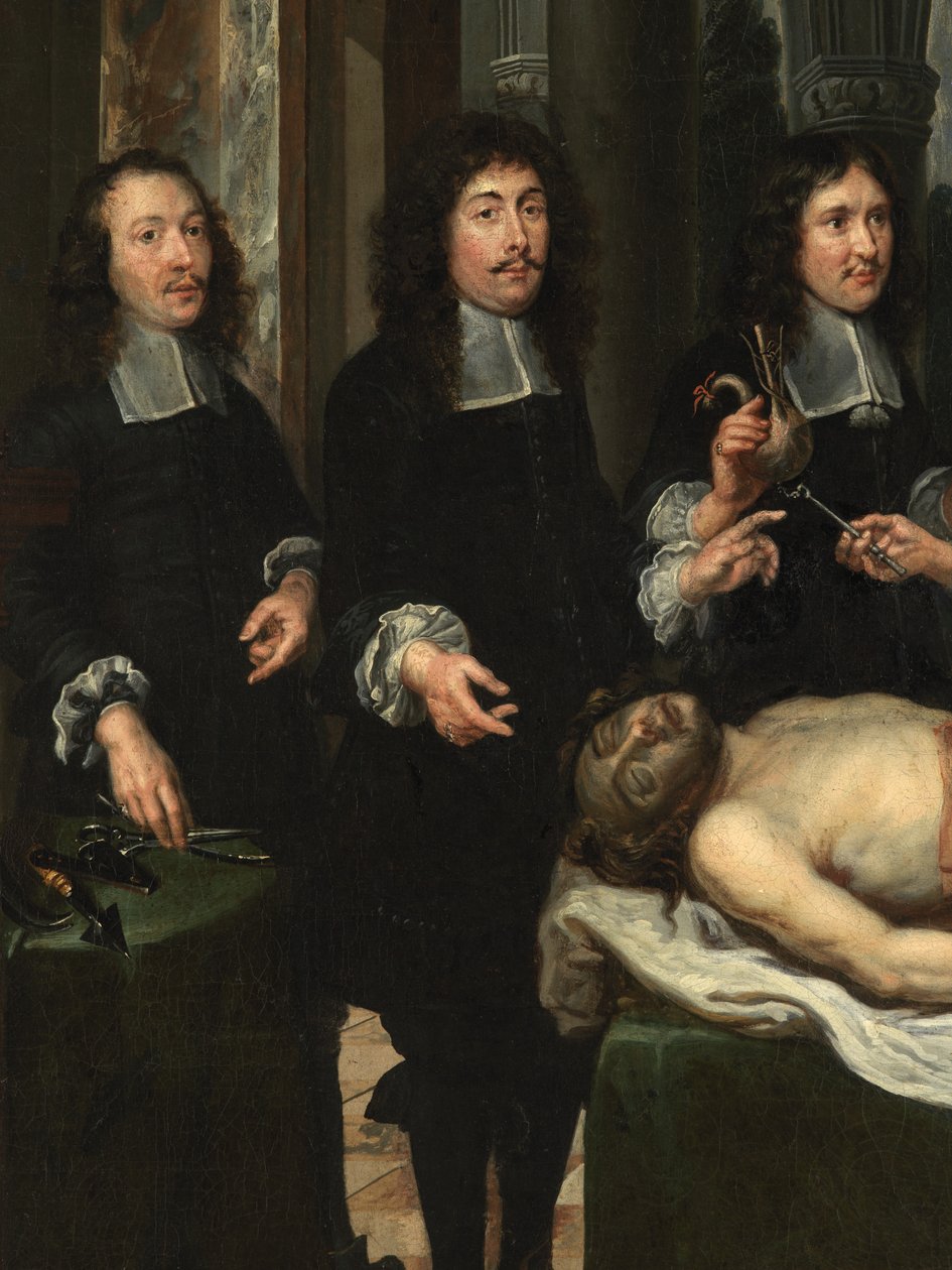 Pormenor da Aula de Anatomia (óleo sobre tela) de Flemish School