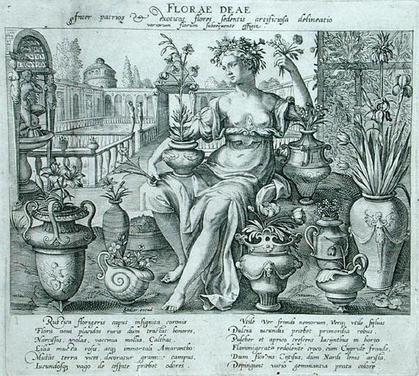 Flora (gravura) de Flemish School
