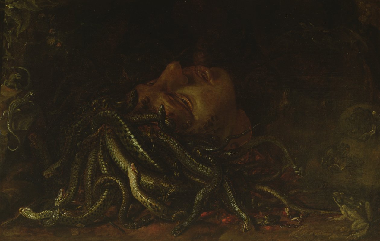 Chefe da Medusa (óleo sobre painel) de Flemish School