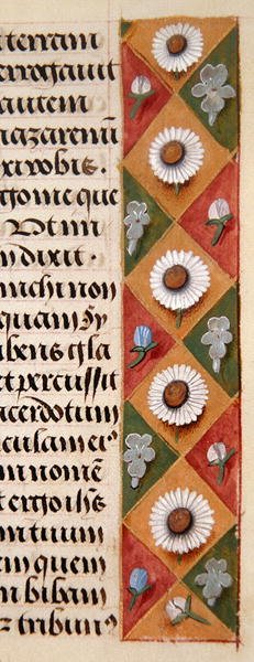 Sra. 1058-1975, f.16r: detalhe de uma borda floral de um Livro de Horas, c.1500 (vellum) de Flemish School