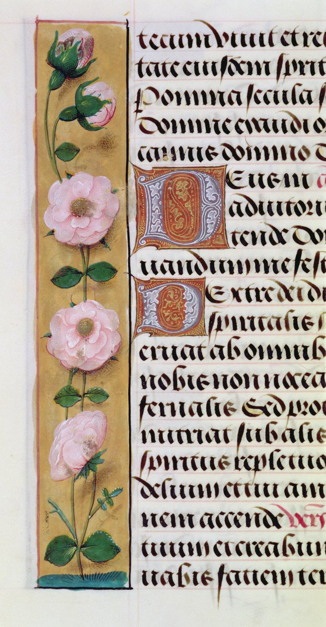 Ms. 1058-1975, f.34v: detalhe de uma borda floral de um livro de horas, c.1500 de Flemish School