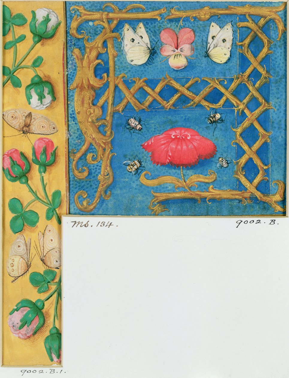 Ms 134 Carta iluminada `A e borda lateral de flores, de um livro de horas, c.1500 de Flemish School