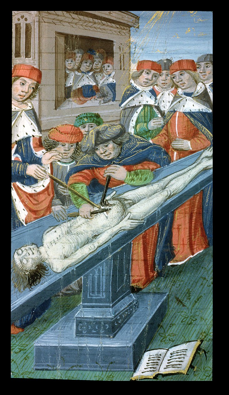 Sra. Hunter 9 10r Dissection, de De Medina Fen I. II, por Avicena (980-1037) de Flemish School