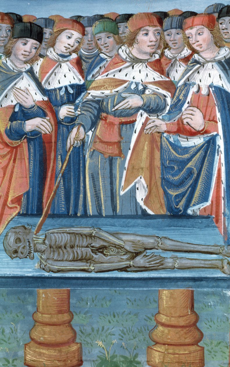 Sra. Hunter 9 30v Dissection, de De Medina Fen I. II, por Avicena (980-1037) de Flemish School