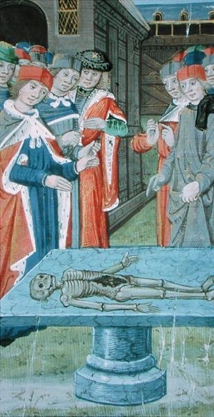 Sra. Hunter 9 f.12v Dissecação , de 