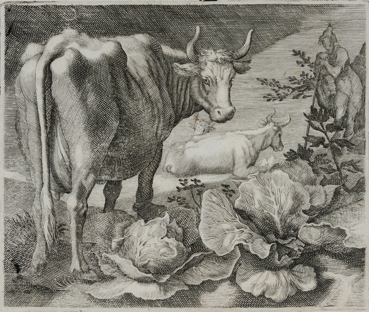 Gravura do velho mestre de Flemish School