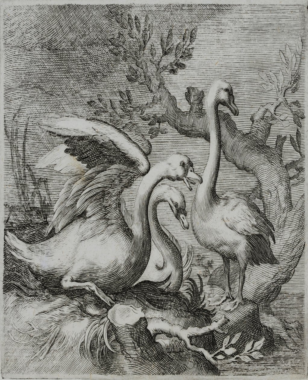 Gravura do velho mestre de Flemish School