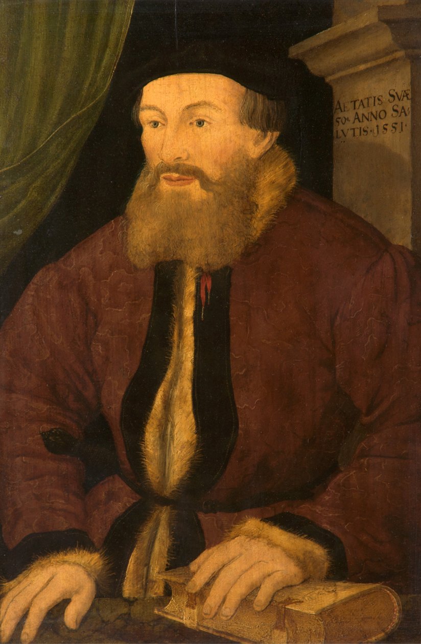Retrato de um homem, 1551 de Flemish School
