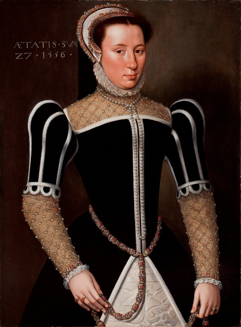 Retrato de uma mulher, 1556 de Flemish School